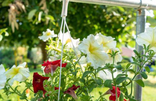 Mirovili House - Foto 13