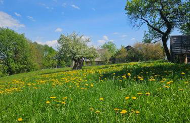 Porębana Osada - Foto 50