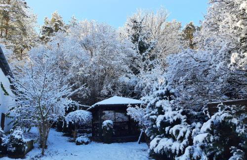 Kosmata Chata - miejsce gdzie zwalniasz - Foto 23
