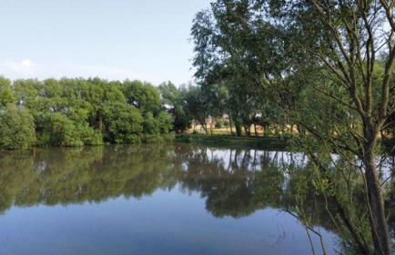 The Stables Cottage - Foto 14