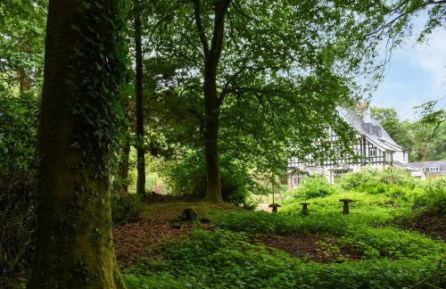 Ingo Brake Retreat - Foto 40