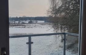 Nature & Local Transport - Foto 13