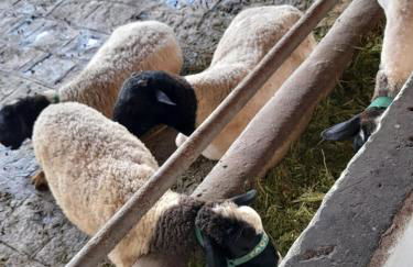 Flat Divina Paz Monte Castelo - Photo 13