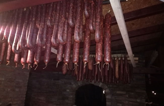 Salas Farma 47 - Photo 38