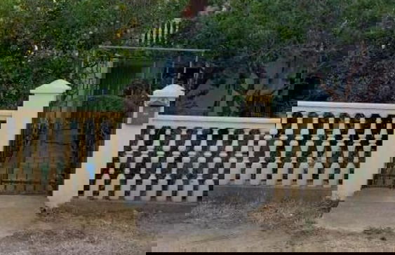 Studio Apartment No2 - Foto 11