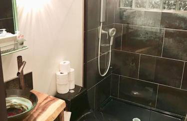 Alpine Four Season Lodge Shandaken NY sleeps 18 - Foto 5