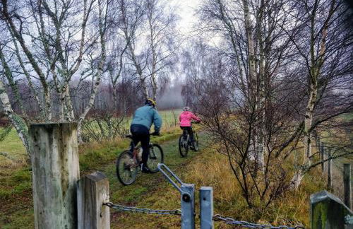 Cluny Mains - Foto 30