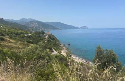 Pini, a Paradise Oasis - Foto 35