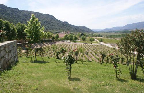 Quinta da Terrincha - Foto 48