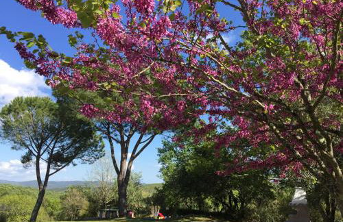Hotel Campo Di Carlo - Foto 23