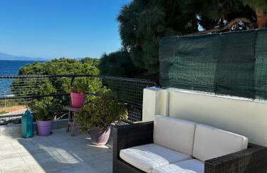 HalCyon-On the blue - Foto 73