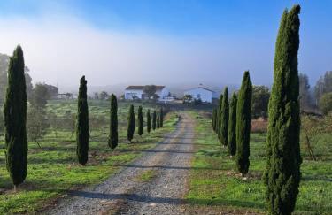 Monte da Calcadinha - Foto 6