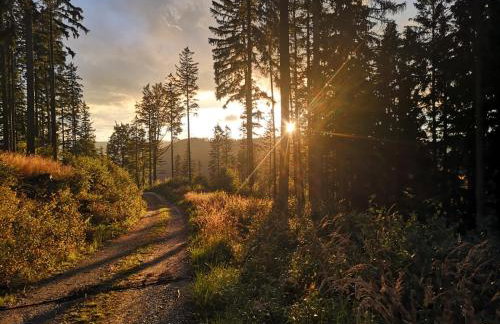Domki Pod Lasem - Domek Brzozowy - Foto 50