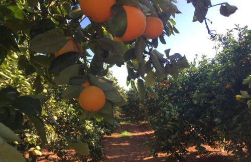 Villa Entrenaranjos - Foto 2