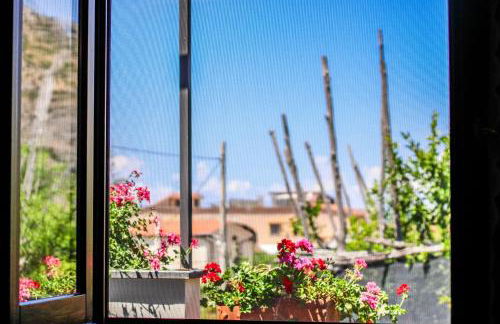 La Casetta di Titti - Foto 11