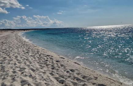Da Tziu Efisiu Mare e Relax nel Sinis - Foto 40