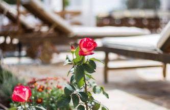 Casa Can Pep Cudula - Foto 42