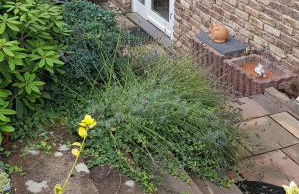 ruhige Ferienwohnung in Waldnähe - Foto 10