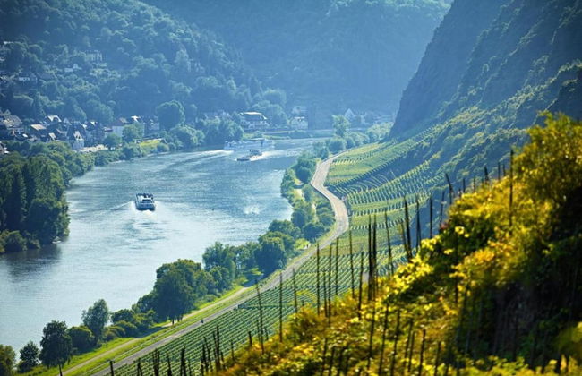 Junkerath Romantic Garden Stay - Foto 21