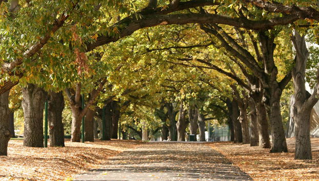 Private Tour of Melbourne - Foto 5