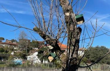 Viana do Castelo - Amonde Village -Casa A * Relax - Foto 13