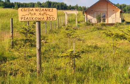 Cuda Wianki - Foto 28