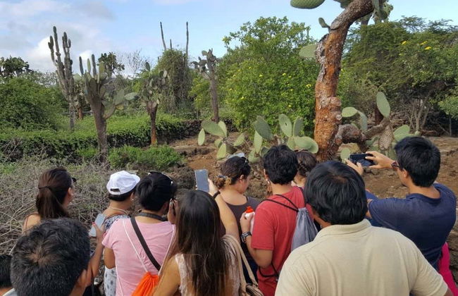 Charles Darwin Research Station Tour - Photo 6