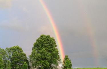 Ferienwohnung Heimatliebe - Photo 33