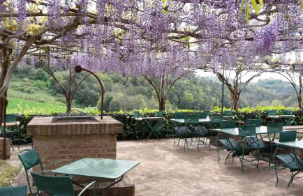 Bosco Della Spina - Foto 23