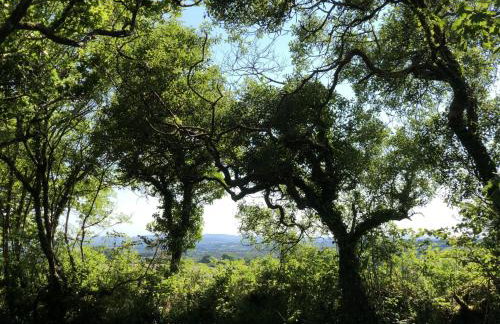 Cyprus Apartment - Foto 15