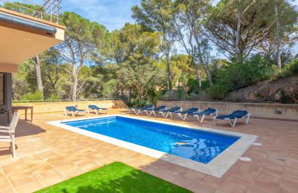 VISTA ALEGRE - Foto 3