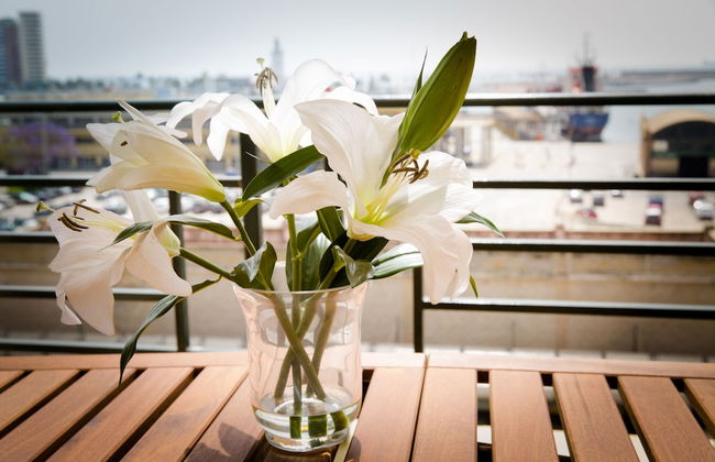 Holidays2Malaga Soho Center Apartments - Photo 54