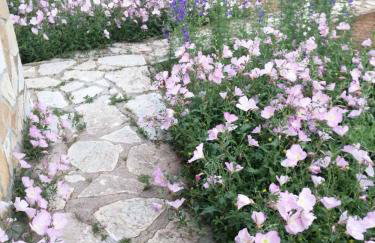 Monica's Country House - Foto 44