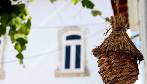 Oryza Guest House& Suites - Foto 5