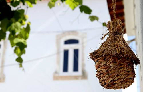 Oryza Guest House& Suites - Foto 5