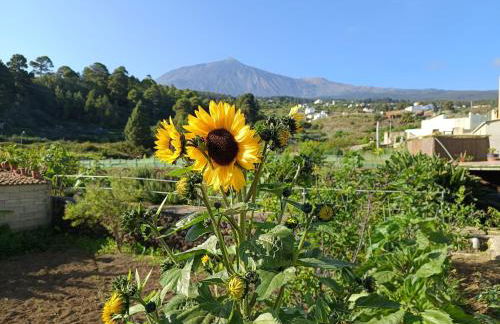 Loft Vista al Teide - Foto 8