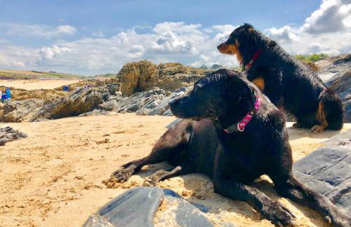 7 Harlyn Cottages - Foto 16