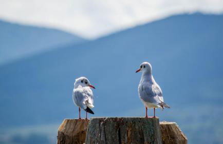 Residenza I Laghi - Photo 23