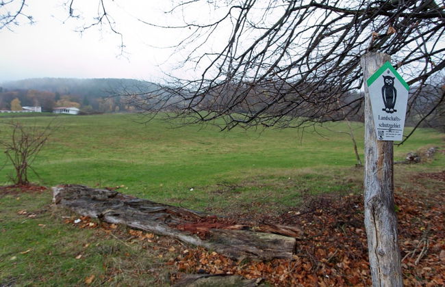 Gartenwohnung in Ilsenburg - Foto 33