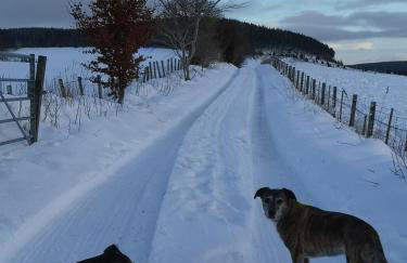 Mike's 3-bedroom Countryside Cottage - Foto 46