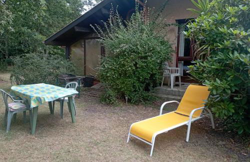 Charmant T1 avec jardin - Foto 7