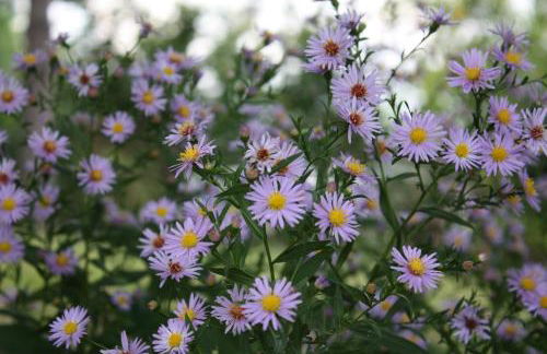 Agriturismo La Vecchia Fontana - Photo 74