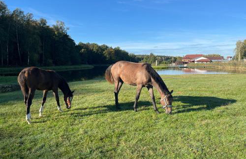 Tawerna Pod Kotwicą pokoje i domy wakacyjne - Foto 23