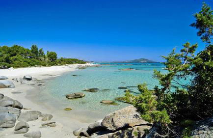 Appartamento presso Residence Verdemare - Foto 21