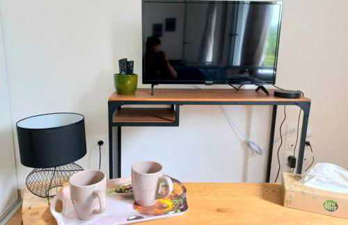 Grand studio parking-bord de Loire- hyper centre - Foto 10