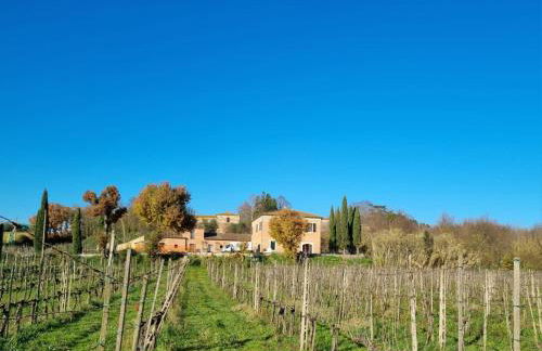 Fornace del Conte - Foto 30