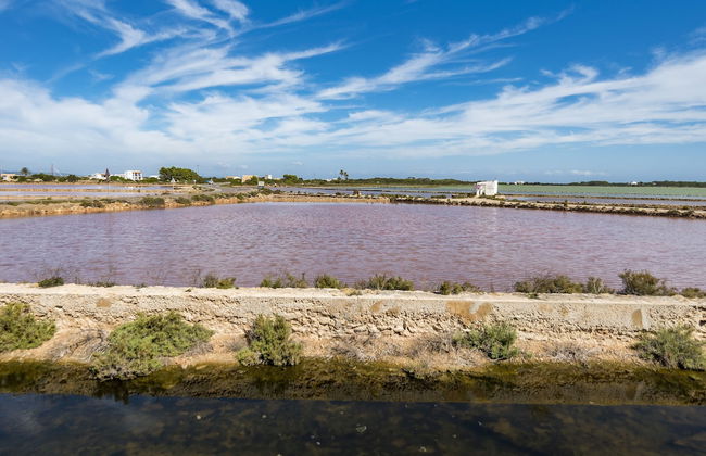 Apartamentos Mar y Sal - Foto 38