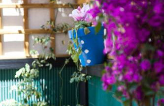 Apartamento Rosellón - Foto 32