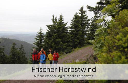 Haus Repin, Oberhof, historische Villa am Rennsteig, Thüringer Wald - Foto 42