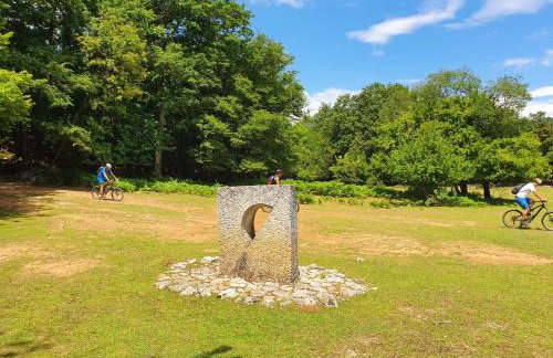 Stone House Rosuja - Foto 57